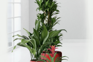 Визуализация интерьерной композиции