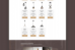 Магазин под ключ