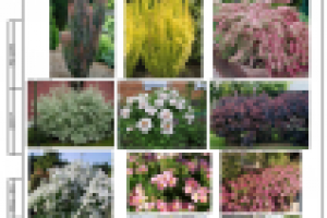 Ландшафтный проект благоустройства территории. 2013 г.