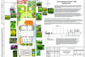 Проект благоустройства и озеленения придомовой территории.