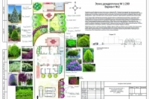 Проект благоустройства и озеленения придомовой территории.