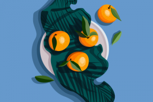 Иллюстрации