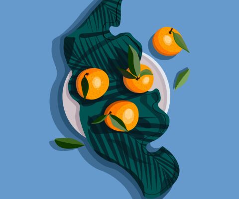 img4253097.png