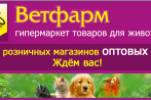 Пример баннера на старт или финиш заставки справочника 2ГИС
