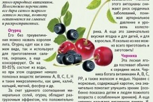 Работа 3511674