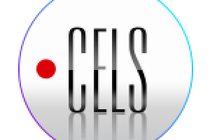 Дизайн корпортала компании ЦЭЛС