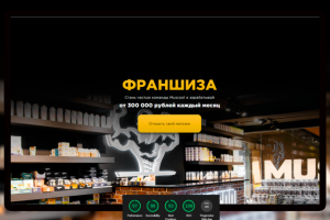 Сайт франшизы сети магазинов спортивного питания