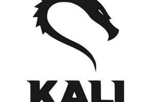 Проведение тренинга по безопасности и анонимности в интернете