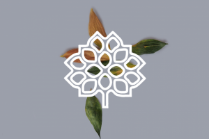 Лого на фоне