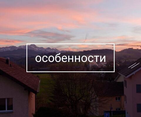 img3997559.png