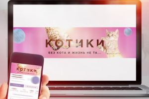 Котики