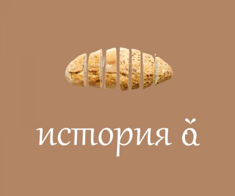 img4191791.png