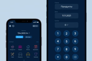 Мой Бюджет: Контроль Денег