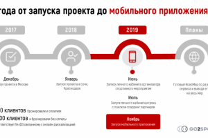 Пример инфоргафики