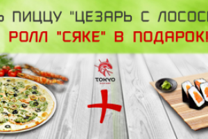 Работа 3151823