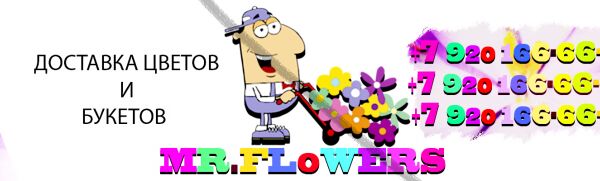 img4262442.png