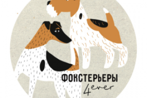 Разработка логотипа для клуба фокстерьеров. 2 вариант