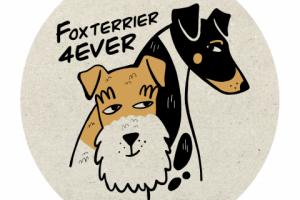 Разработка логотипа для клуба фокстерьеров