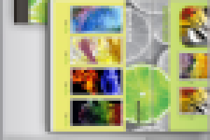 Мистер Лемон