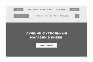 Прототип (магазина футбольных товаров)