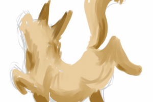 быстрый эскиз