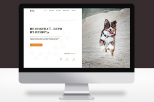 Приют "Дай лапу"