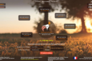 Работа 3018729