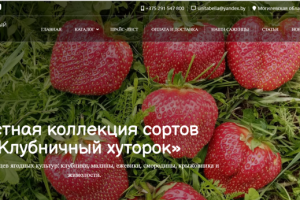 Клубничный хуторок