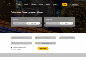 Сайт электронного обменника