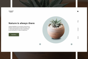 Магазин суккулентов