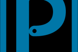 логотип для команды программистов