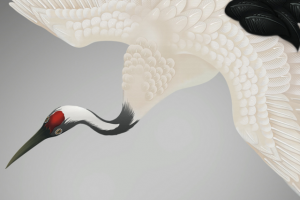 Работа 3101583