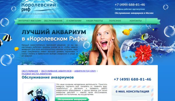 img4258562.png