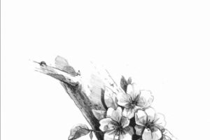 Одна из глав книги