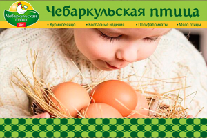 Широкофоматный баннер для магазина "Чебаркульская птица"