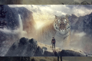 Коллаж из нескольких фото в фотошопе