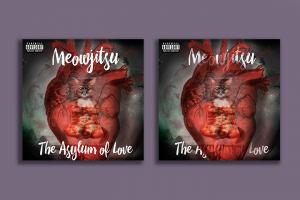 Обложка для новой композии диджея Meowjitsu