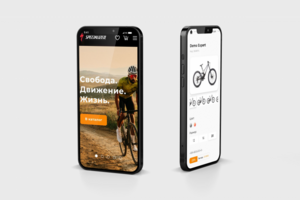 E-commerce Specialized