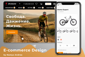 E-commerce Specialized