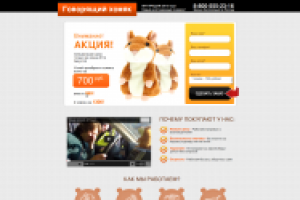 Лендинг суперхомяк.рф