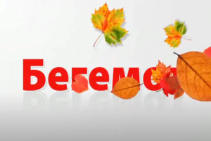 Заставка к серии осенних роликов для м-на Бегемот