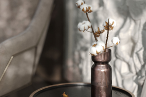 Клоузап Anna te Drieen