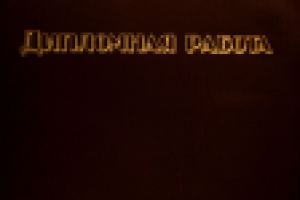 Фрагмент (введение и заключение) дипломного проекта