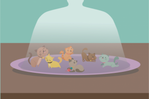 Котята под колпаком