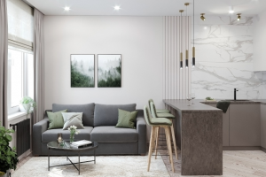 ЖК Московские ворота. Кухня-гостиная