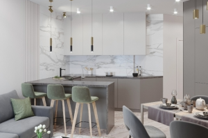 ЖК Московские ворота. Кухня-гостиная