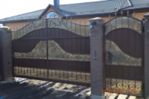 Кованые ворота и калитка