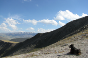 в горах Алтая