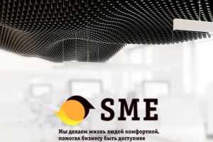 Лого для внутреннего подразделения компании BeeLine