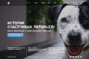 Концепция по тематике "Питомцы"